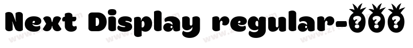 Next Display regular字体转换